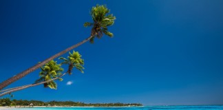 Tropical beach Fiji