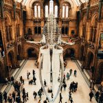 9 Free Museums You Can Visit in London Museums in London