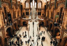 9 Free Museums You Can Visit in London Museums in London
