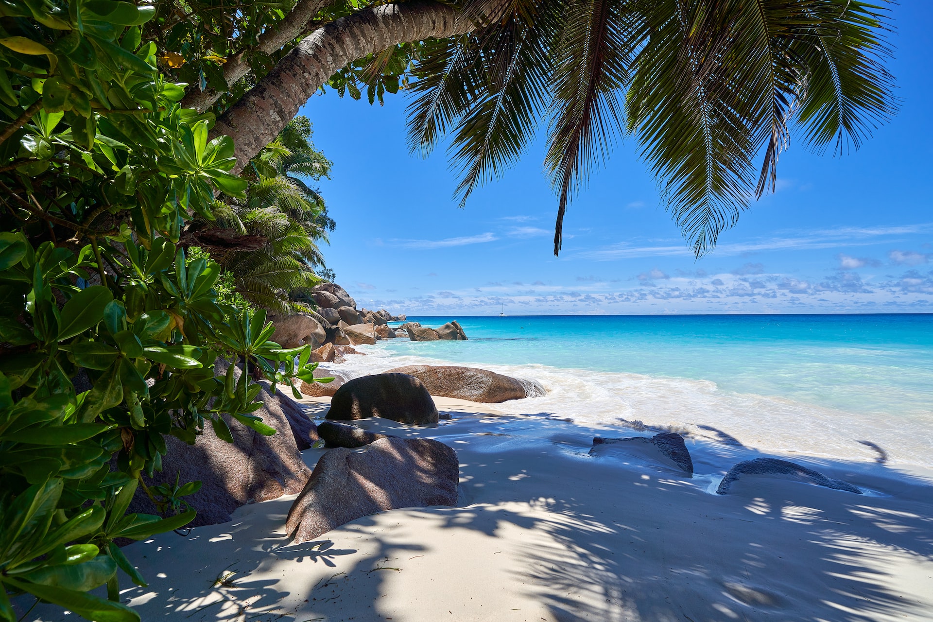 Seychelles beaches diving